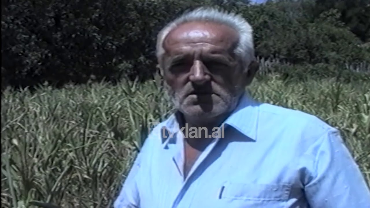 Mungesa e ujit ne Qukes thane te gjitha prodhimet bujqesore - (23 Gusht 2001)