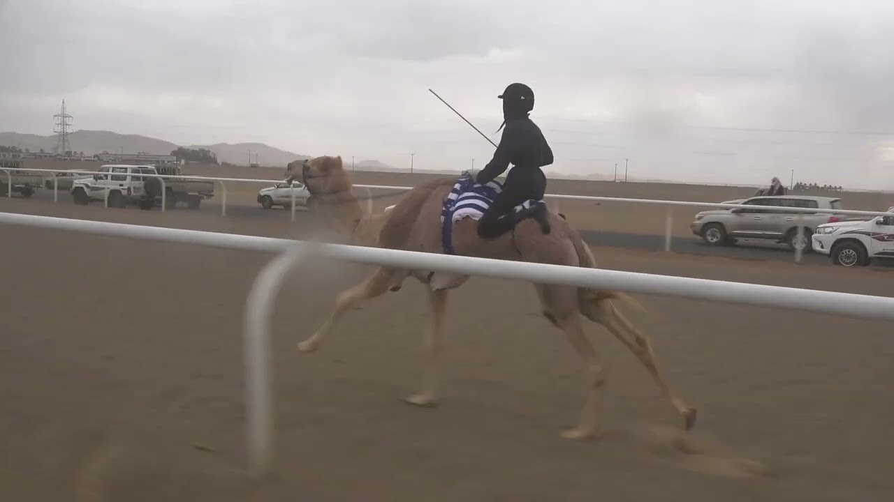 ١- الحره لـ عبدالله بن دخيل الله رويشد الجهني
