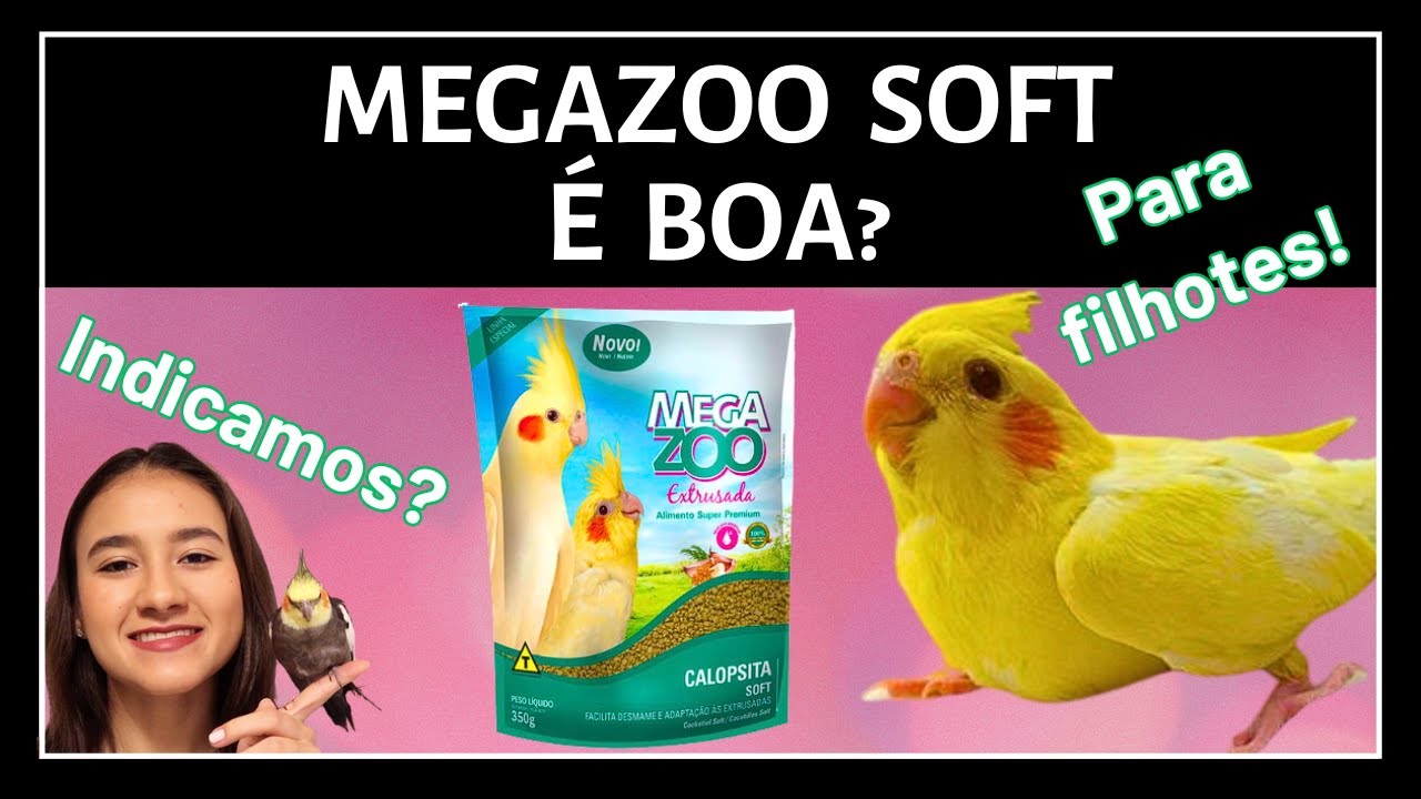 ALIMENTO PARA CALOPSITA FILHOTE