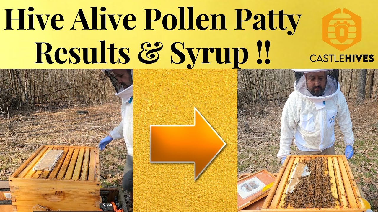 Результаты приготовления лепешки с пыльцой Hive Alive и добавление сиропа 1:1!!