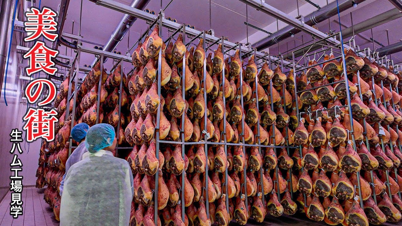 【完全保存版】北イタリア　美食の街　ボローニャとパルマが美味しすぎた件〜Italy Bologna ,Parma