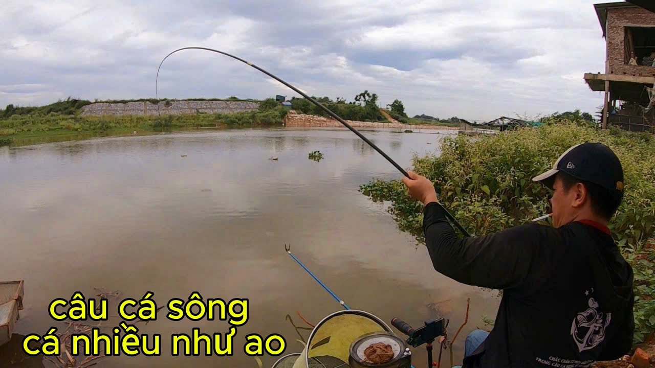 Câu cá chép cá dưng tự nhiên - điểm câu cực nhiều cá giật như trong ao