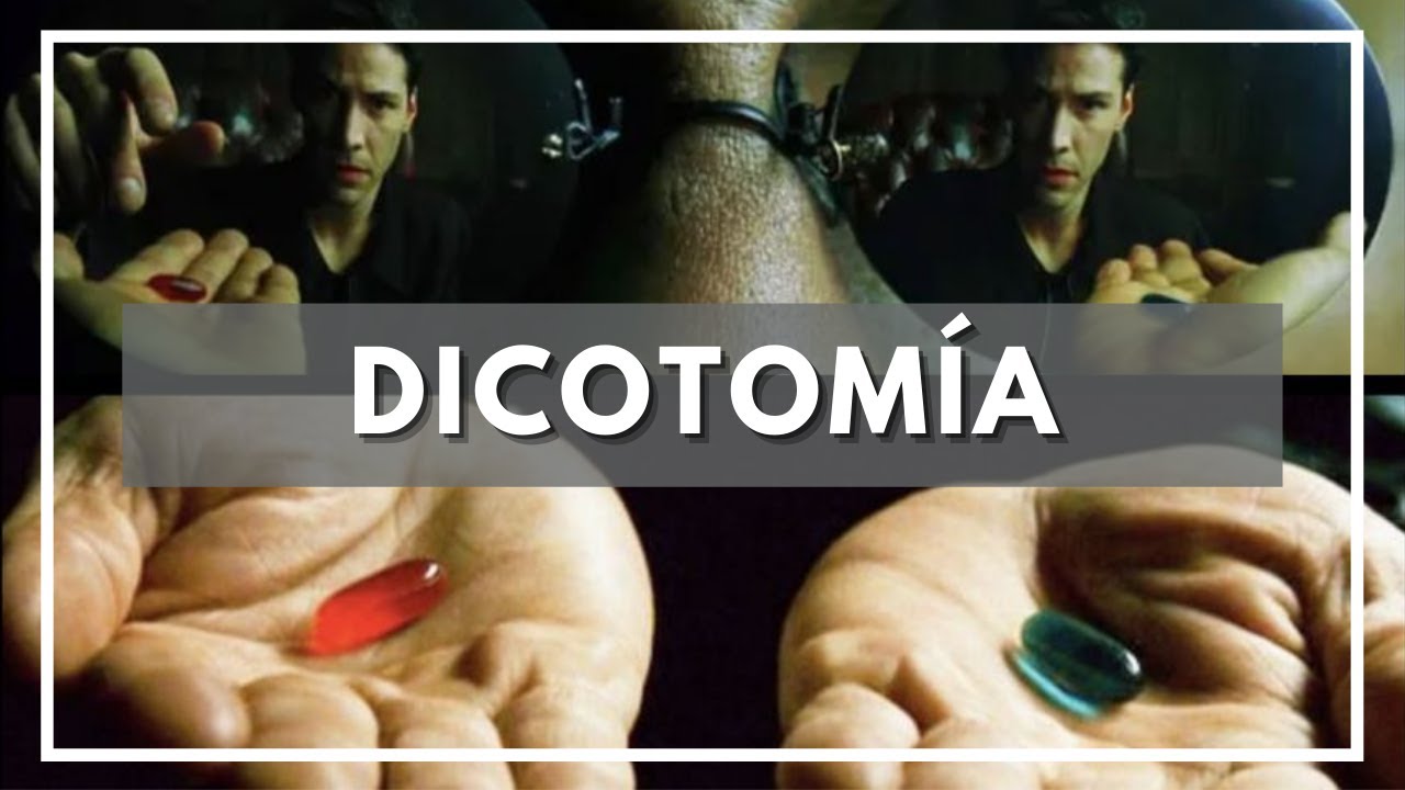 Qu&eacute; es DICOTOMIA ? Significado, Definici&oacute;n y Etimolog&iacute;a de Dicotom&iacute;a
