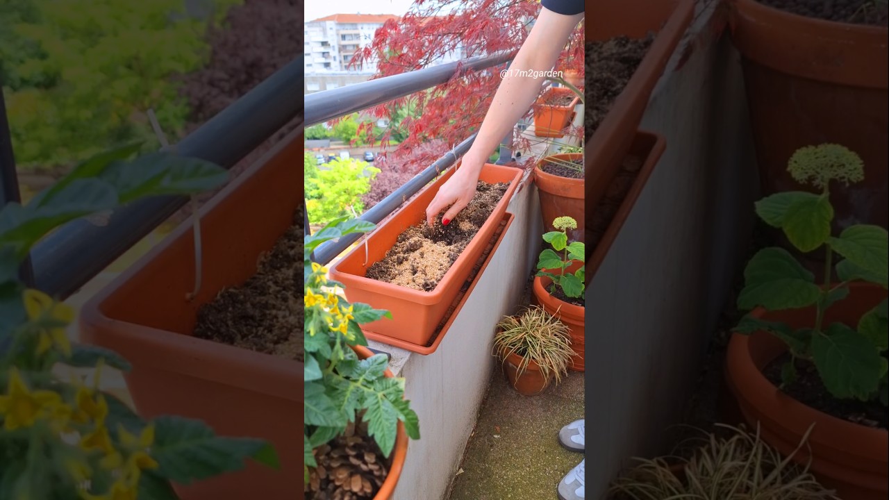 Use THIS To Make Your Potting Soil More Water Retentive