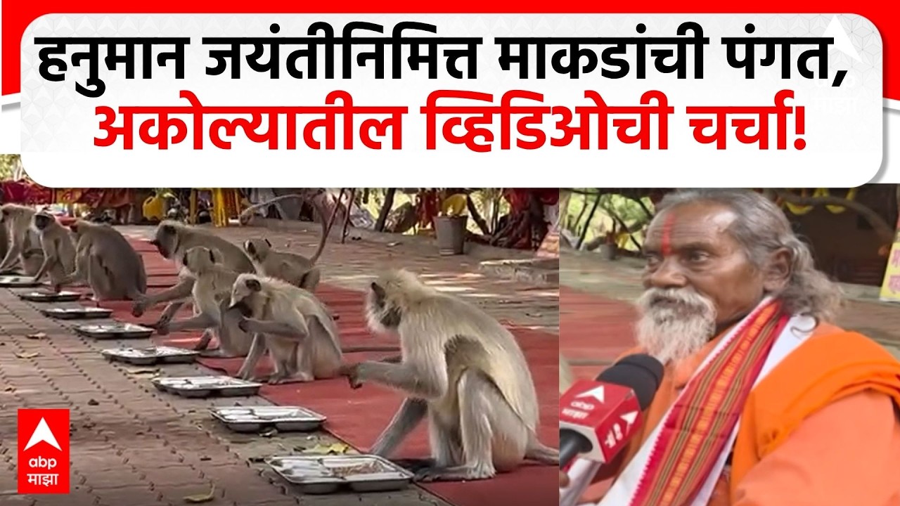 Akola Hanuman Jayanti : कोथडी बुजरुक गावात हनुमान जयंतीनिमित्त माकडांची पंगत