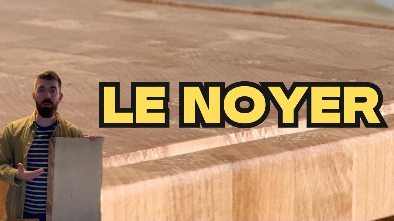 EPISODE 26 : LE NOYER