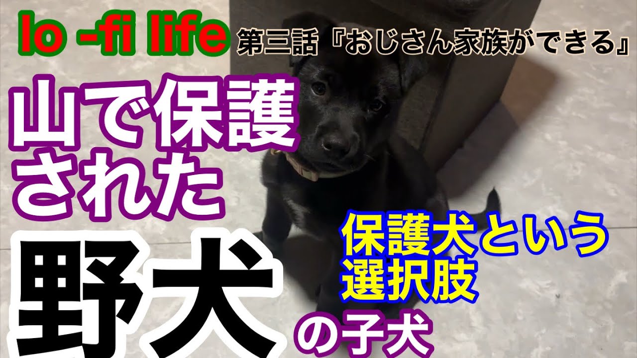 lo -fi lefe 鉄生おじさんの田舎暮らし。第三話『おじさん家族ができる』