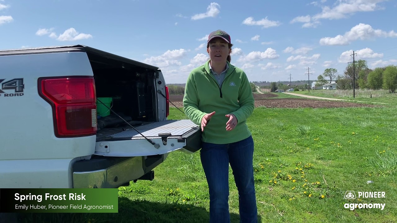 How to Know if Your Crops are at Risk for Frost Damage