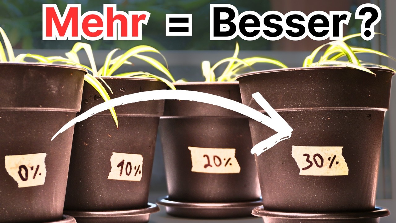 Wurmhumus f&uuml;r Zimmerpflanzen - Was ist die perfekte Menge?