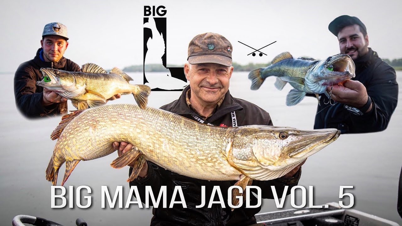Das Ende einer Ära? BIG MAMA Jagd - Vol. 5 - Hecht, Zander und Barsch Angeln - Holland