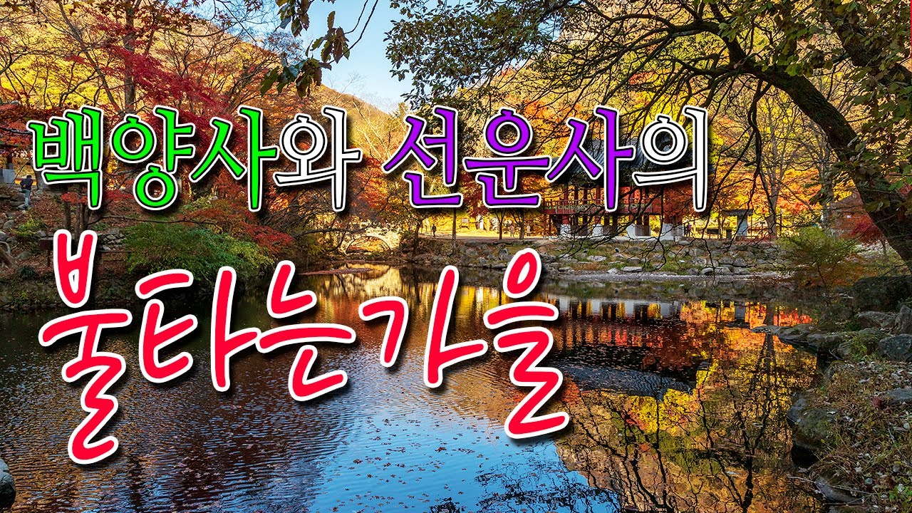 고창 선운사와 장성 백양사의 가을을 담아보았습니다~