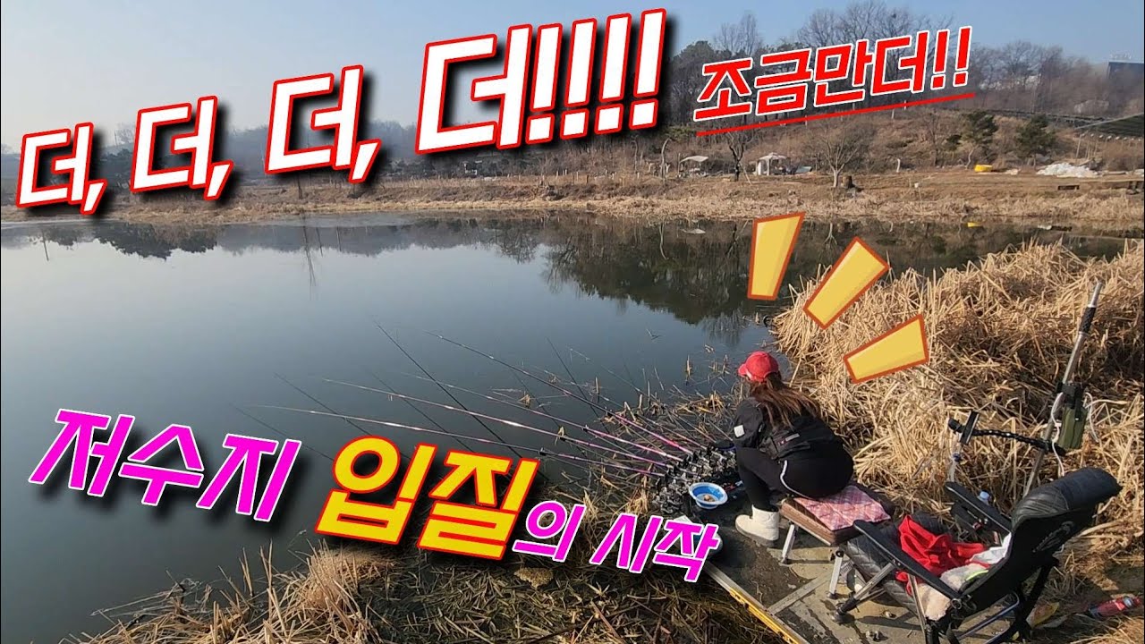 💥더더더 조금만더 올려라!!!!!!! 입질이 시작됩니다!!#fishing#붕어낚시#저수지낚시#민물낚시#노지낚시#라프텐트