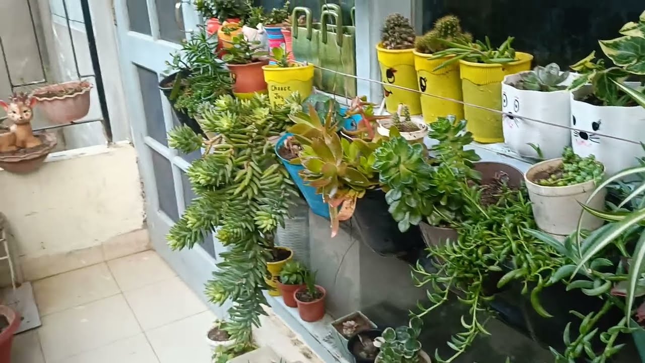 छोटी सी जिंदगी है,गुरूर नहीं शौक पालिये।🌺🌺🌺🌺🌺🌺🌺🌺