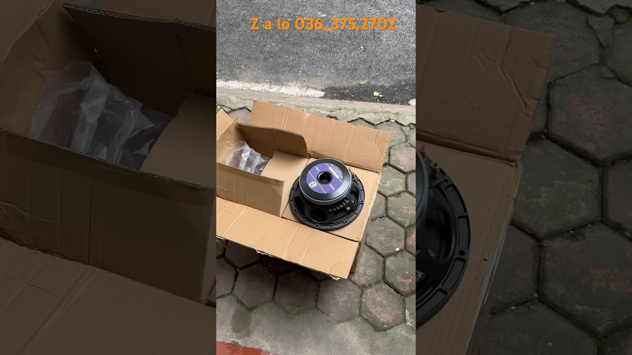 HOT, Si&ecirc;u Phẩm Loa Bass 25 Merry Audio, Model : MA10H43D, Từ 170 Coil 76 #loa #jbl #shorts #short