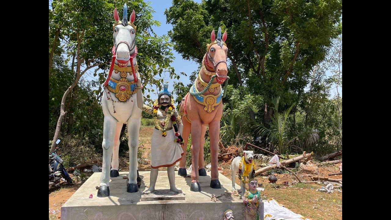 Aadi Ammavasai Kuri KakulamAyyanarSengipattiஆடிஅம்மாவாசை குறி கக்குளம் அய்யனார் கோவில் செங்கிப்பட்டி