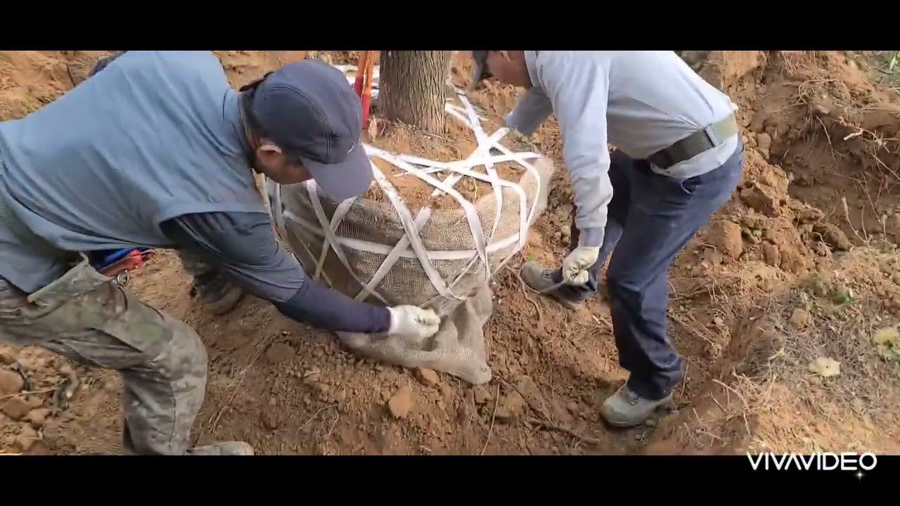 분뜨기 방법과요령  23-293편