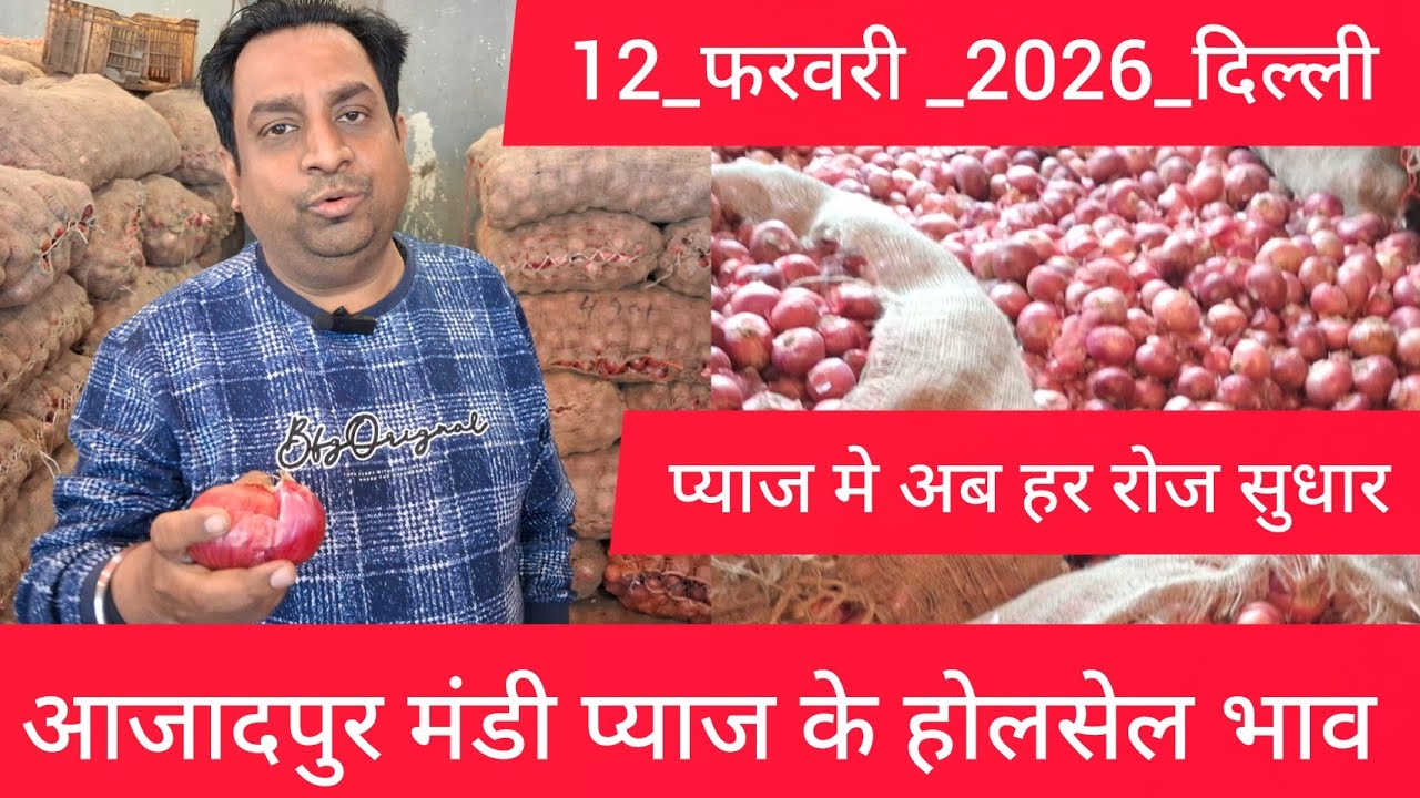 February 12, 2026 दिल्ली 🧅प्याज के होलसेल भाव azadpur delhi mandi onion market price #onionmarket