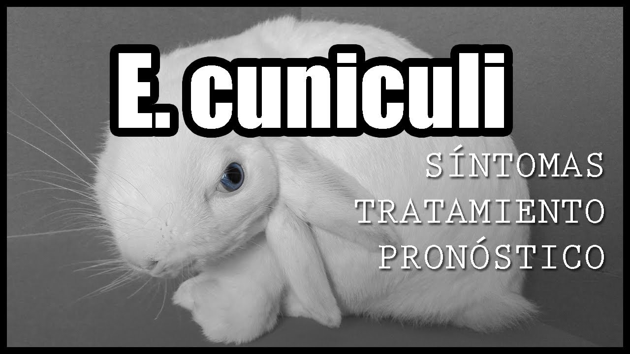 Encephalitozoon cuniculi