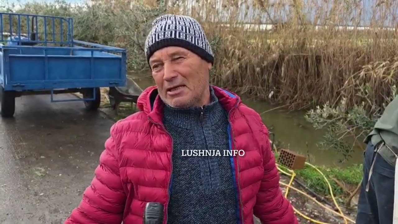 Lakra prishet në ara,fermerët nuk gjejnë treg për ta shitur,në Divjakë një kg lakër shitet 50 lekë.