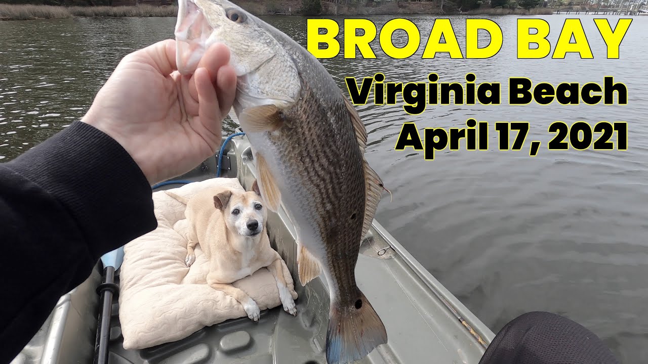 April 17, 2021 Trip Highlights - Broad Bay, Virginia Beach