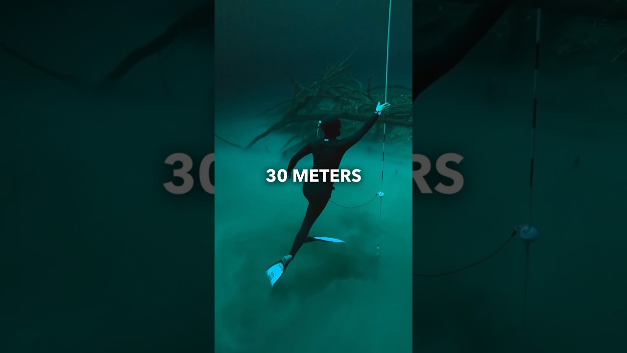 A dive with Kennet, first time touching the Sulfur cloud of Cenote Angelita! #freediving #cenote