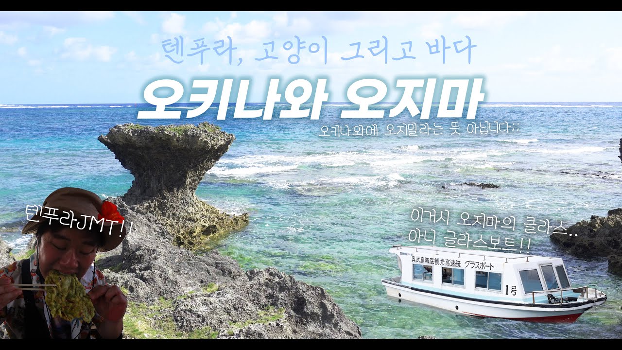 🌺한국인에게만 어그로 끌리는 바로 그 섬! 오지마[奥武島]