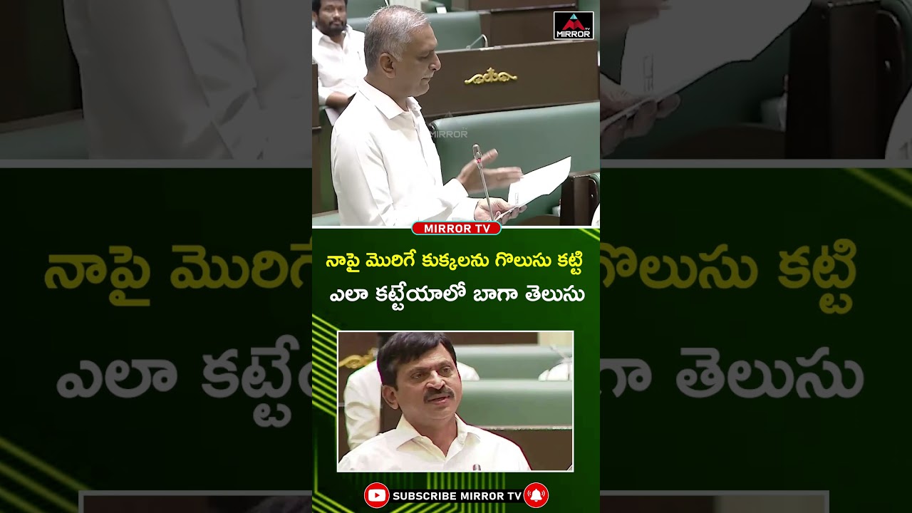 Harish Rao About Minister Ponguleti Srinivas | Telangana Assembly | Congress Govt | Mirror TV