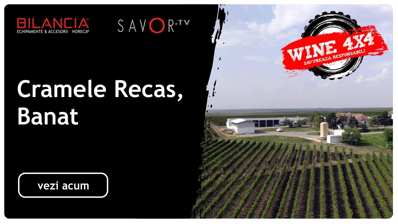 Wine 4x4 Episodul 2: Secretele vinului din Cramele Recas