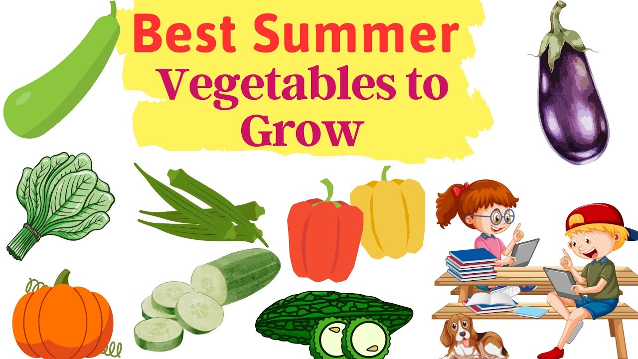 Best Summer Vegetables To Grow | Summer Vegetables in English | Things To Know