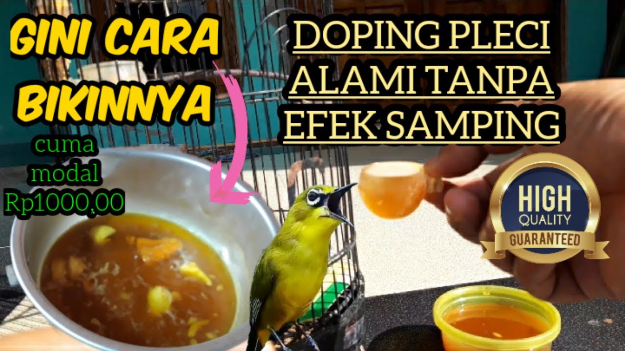 Doping pleci alami tanpa efek samping