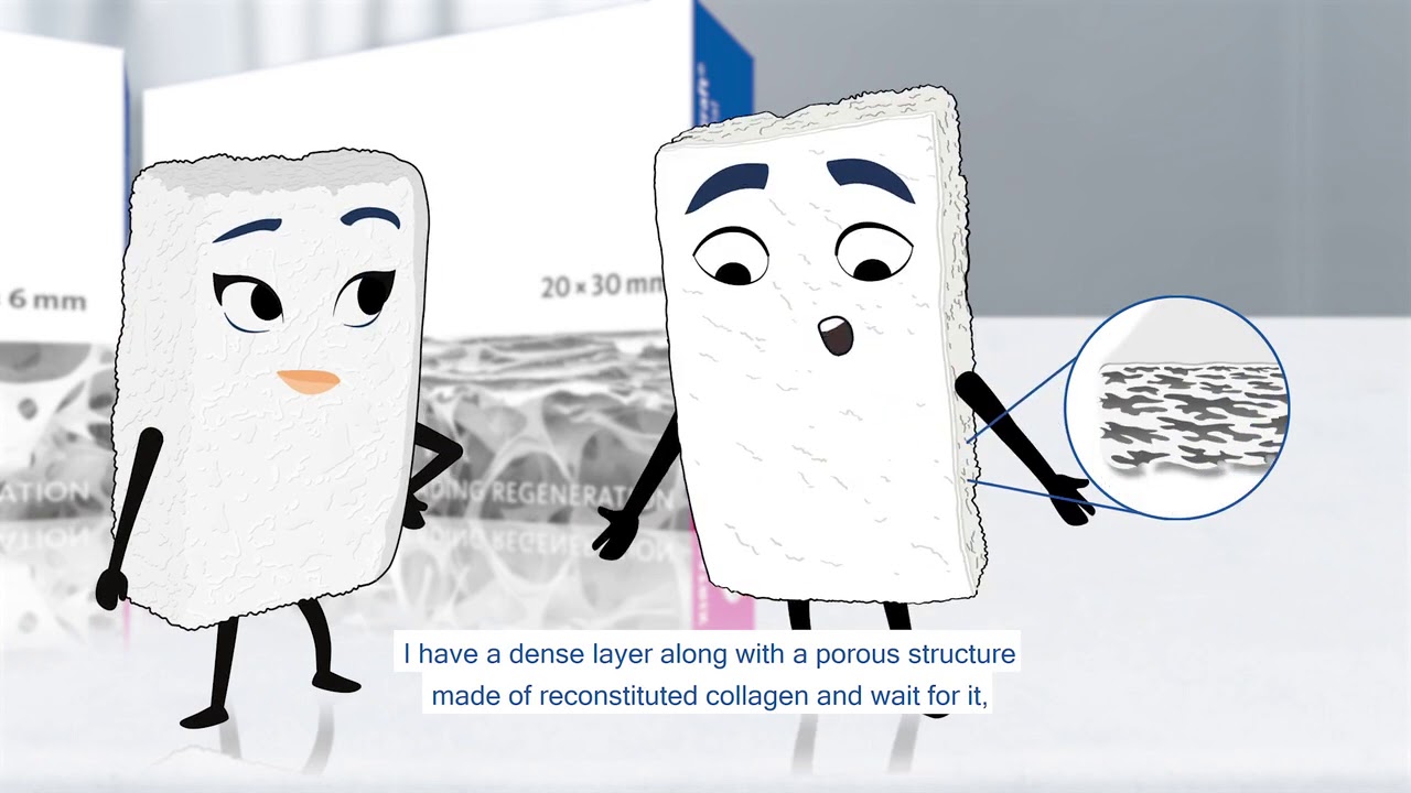 What is the difference between Geistlich Mucograft® and Geistlich Fibro-Gide®?