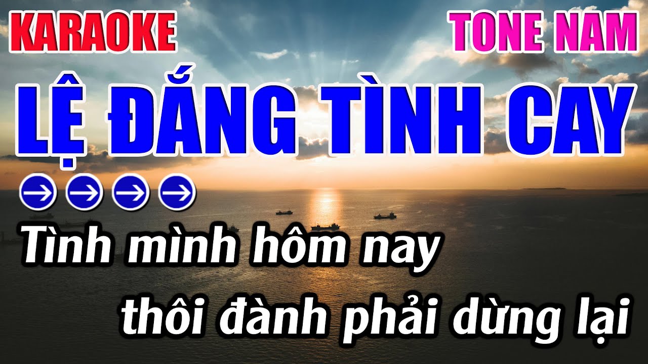 Lệ Đắng Tình Cay Karaoke Tone Nam ( Am ) Karaoke 9999 - beat Mới
