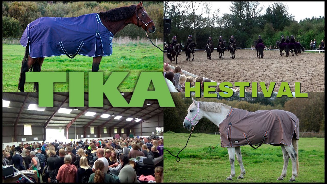 Tika Hestival 2023