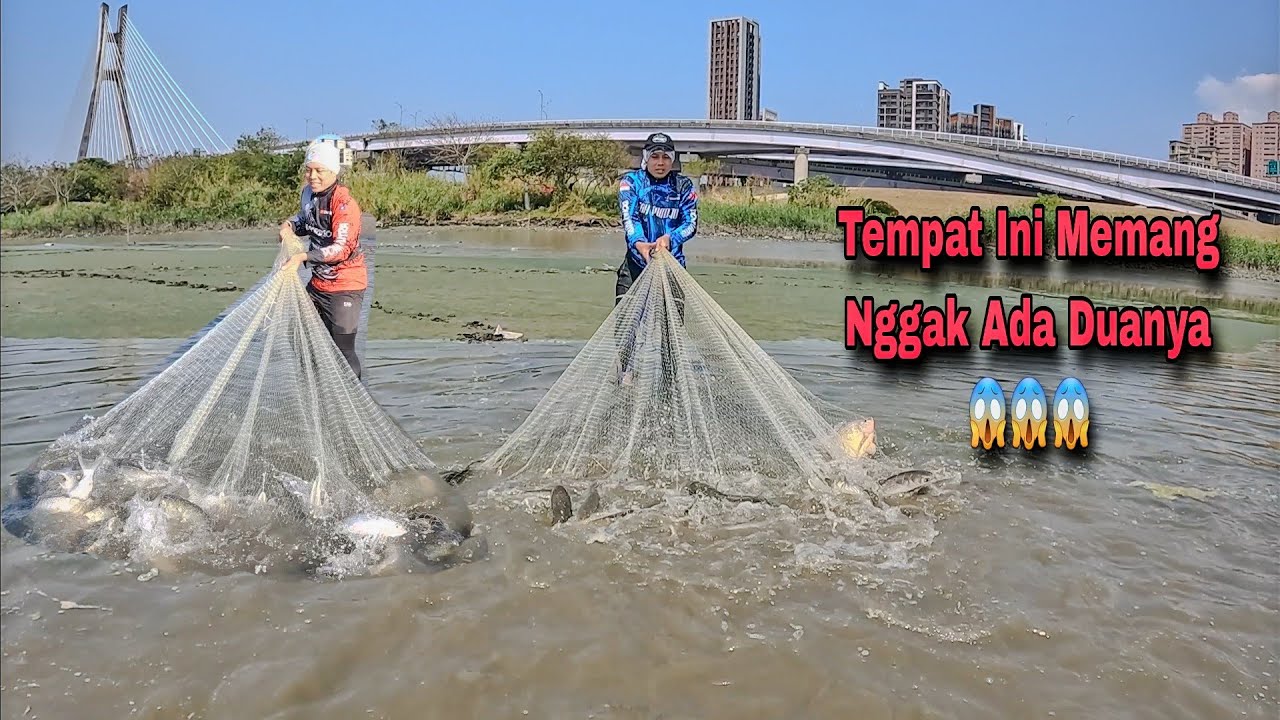 Kumpulan Video Jala Ikan Dengan Hasil Sangat Memuaskan Di 2024 / Best Net Fishing