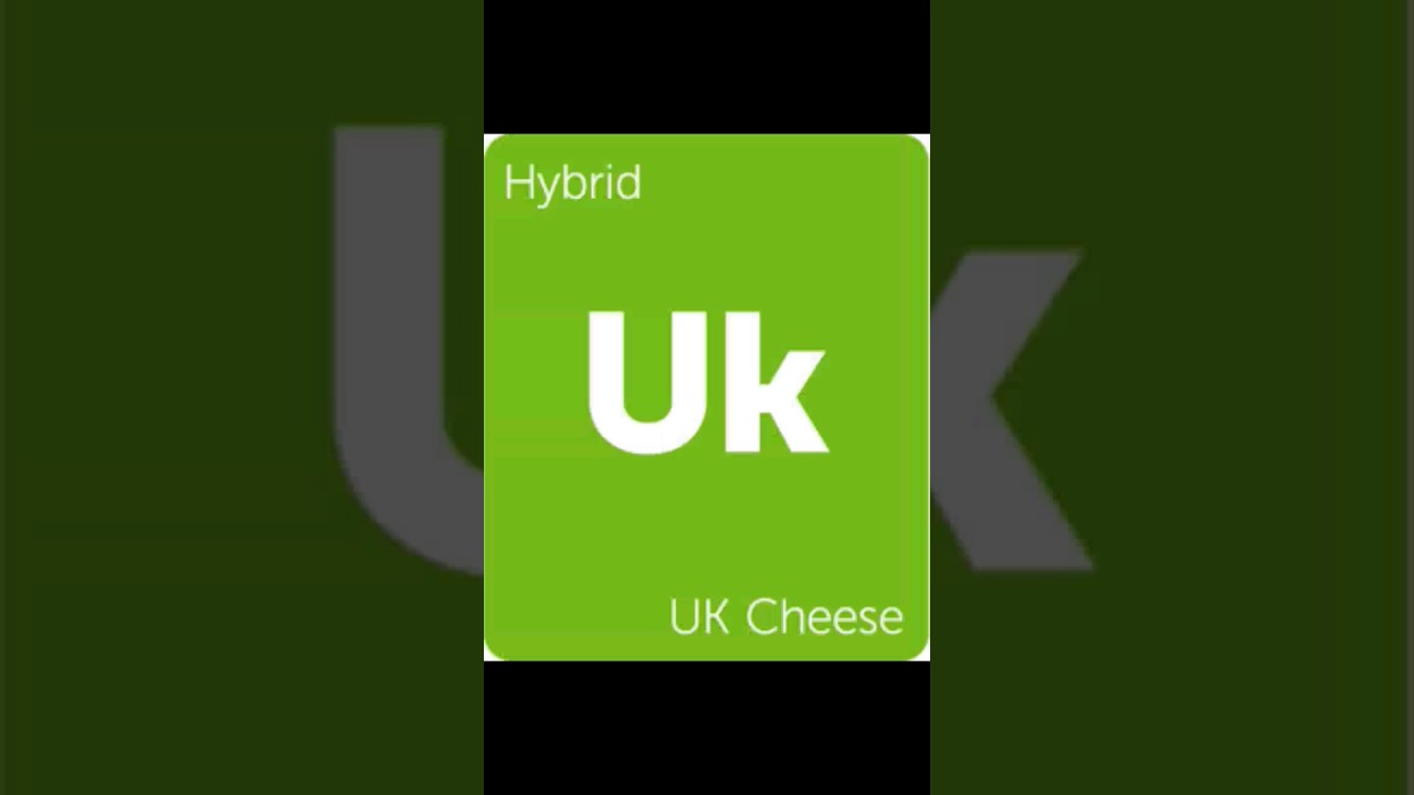 Uk cheese strain