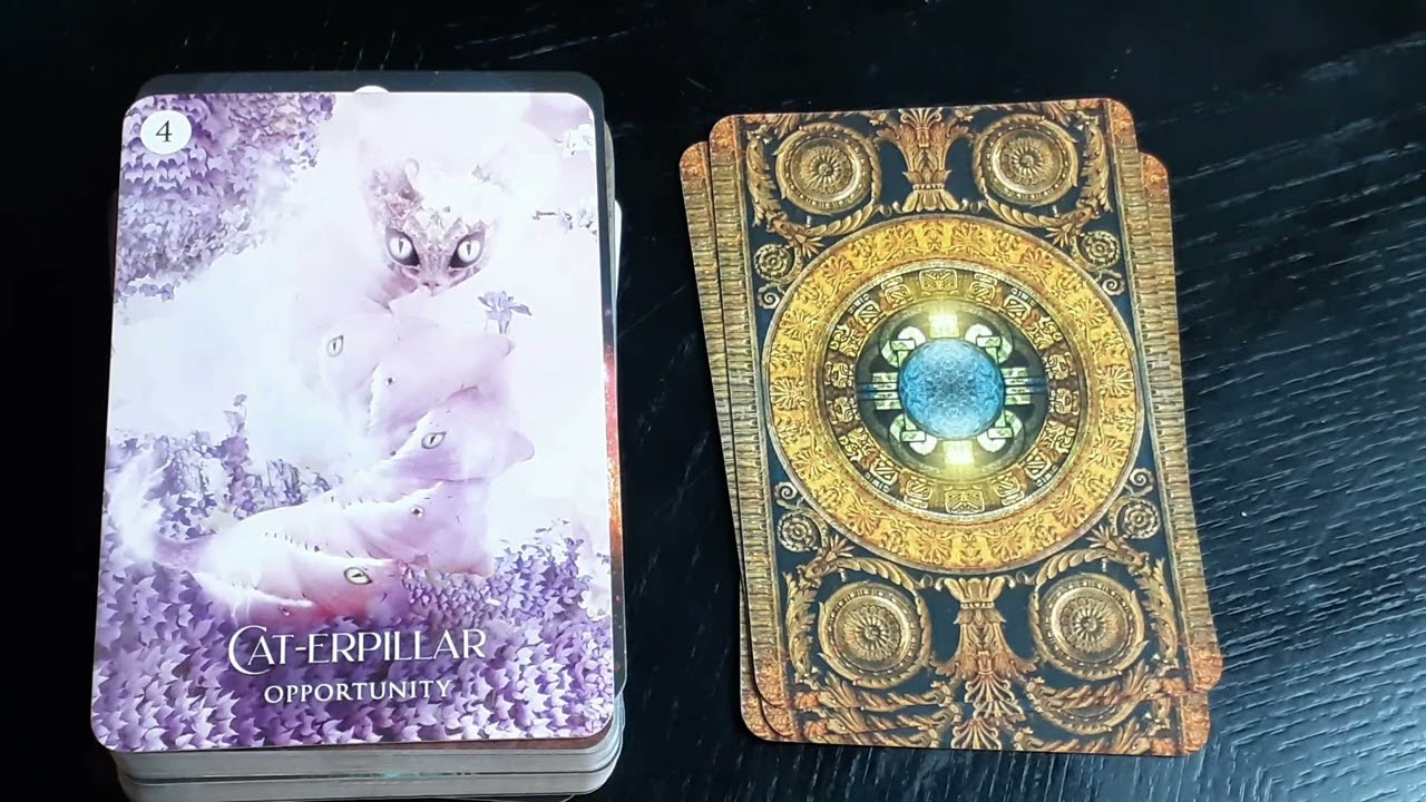 Oracle Review   The Shamans Dream Oracle