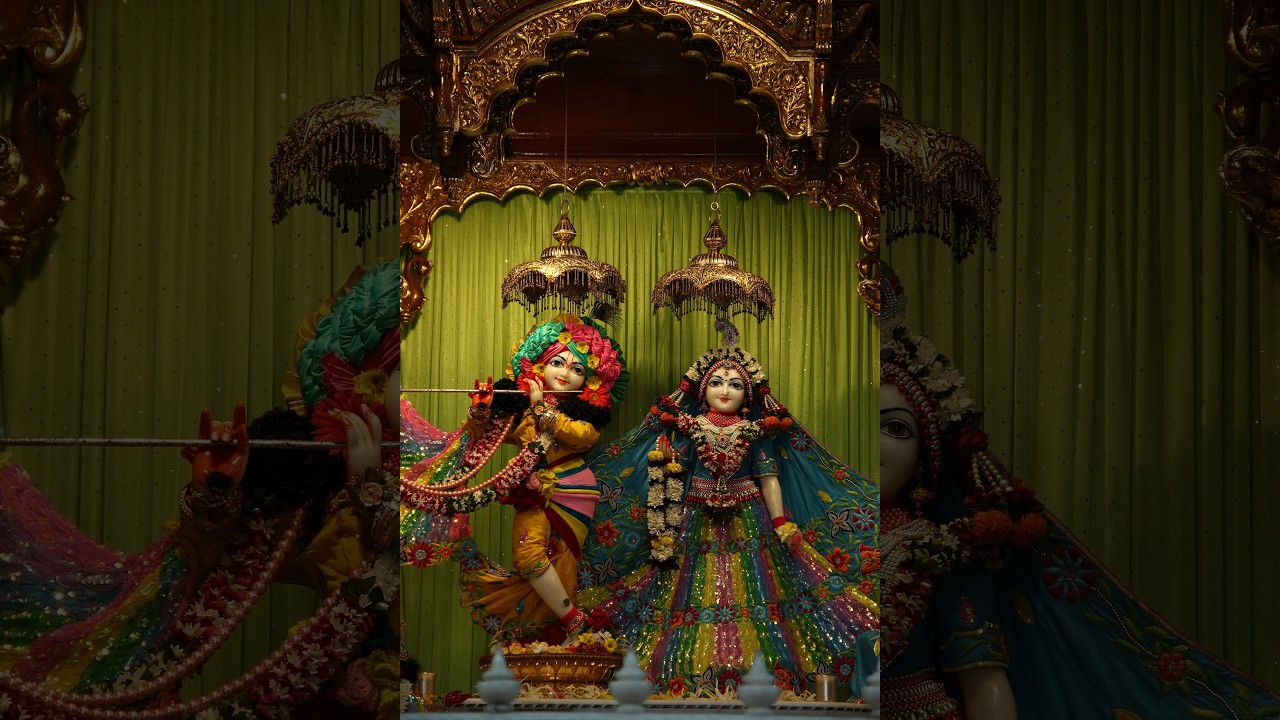 DAY5|| Shrimad Bhagwat katha || Pujya Shri Rajnarayan Tiwari Ji || .
