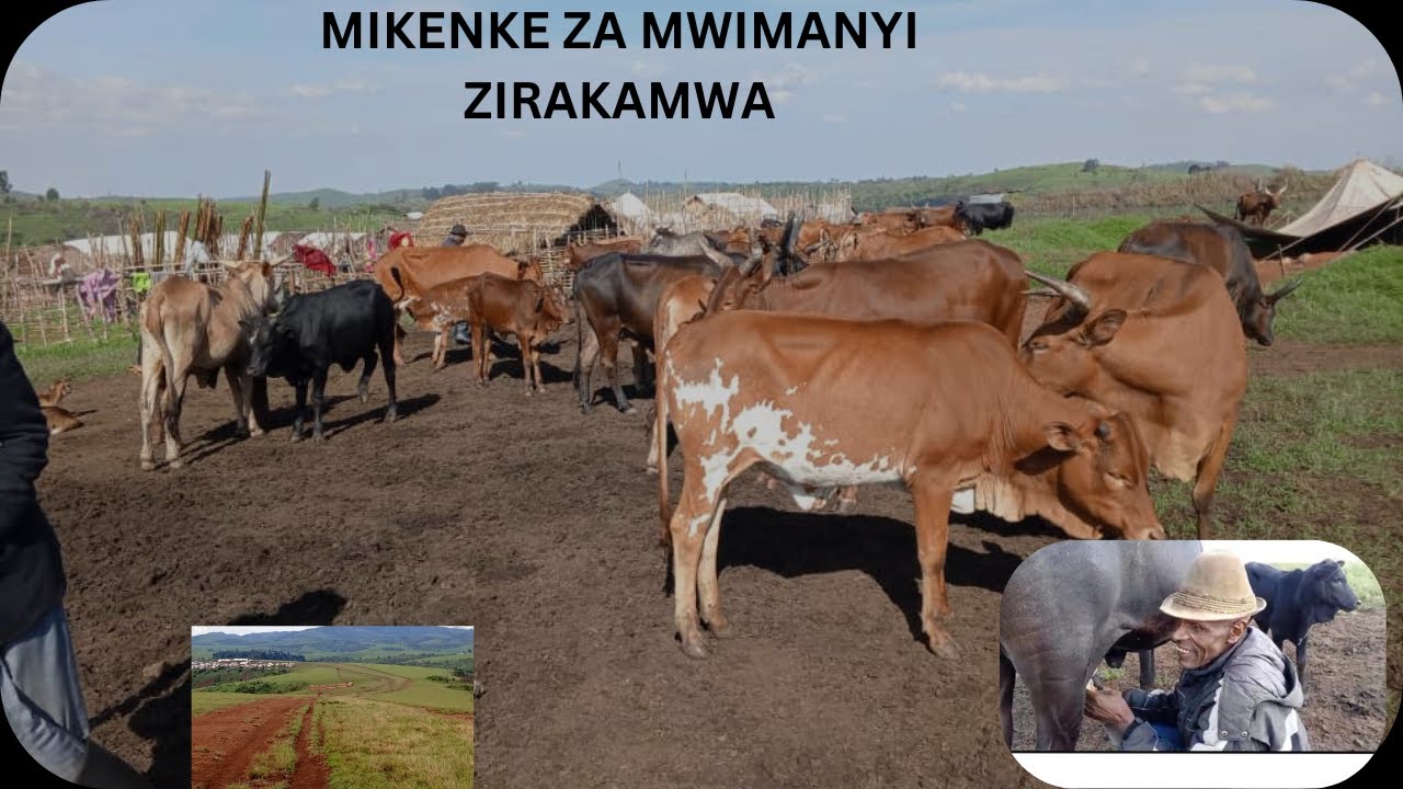 MINEMBWE//MUMIKENKE INKA ZIRAKAMWA UBU NIKUGAHIRA KAMBERE