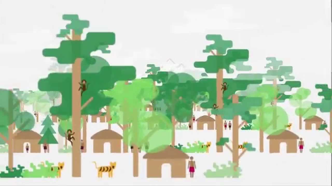 ITTO, making SFM of tropical forest a global reality