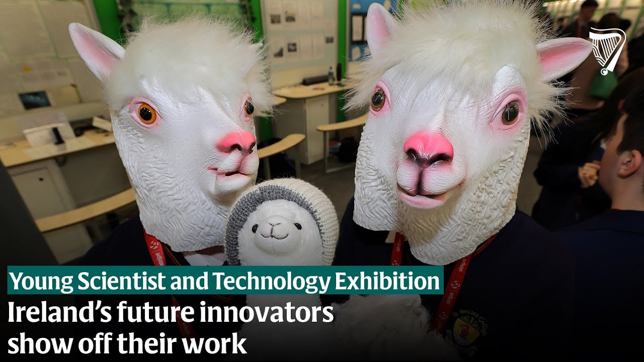 Students showcase work at the Young Scientist & Technology Exhibition