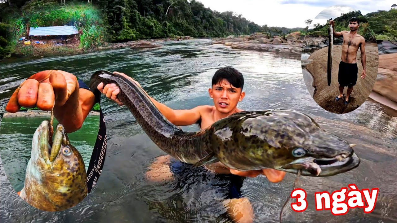 Loài CÁ SĂN Mồi Ác Mộng Của Rừng NHIỆT ĐỚI | 3 ngày Ngủ Qua Đêm Trong RỪNG Tìm Thủy Quái