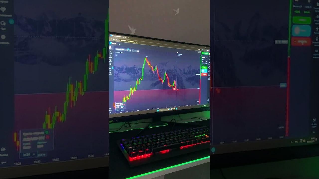 Бинарные опционы сигналы! опционы! трейдинг обучение! трейдинг для начинающих