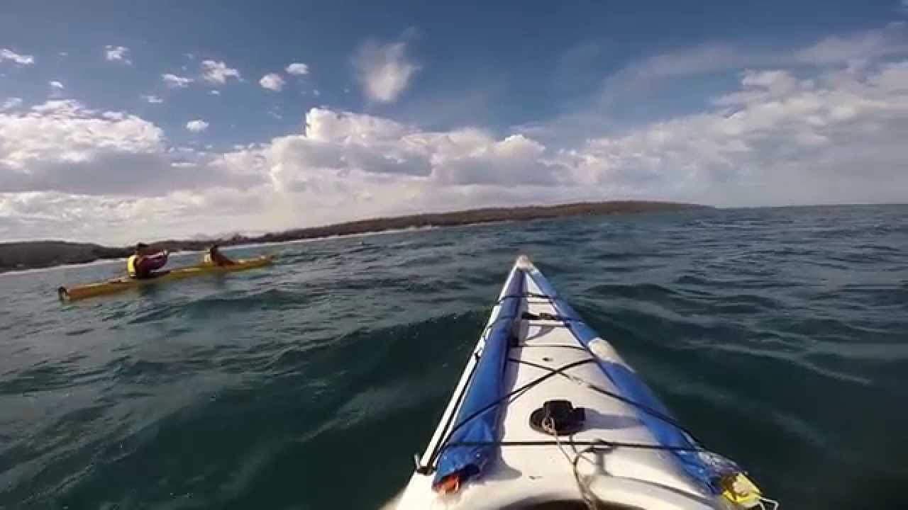 Freycinet Peninsula Dolphins