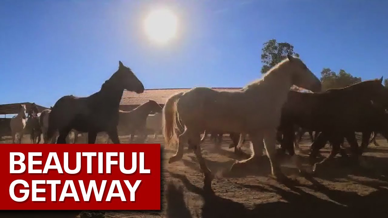 Rancho de los Caballeros: Your next Arizona getaway