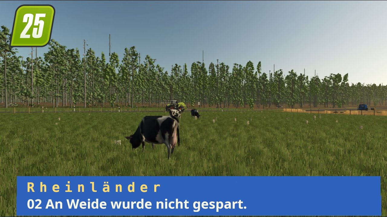 LS25 Rheinländer - 02 An Weide wurde nicht gespart.