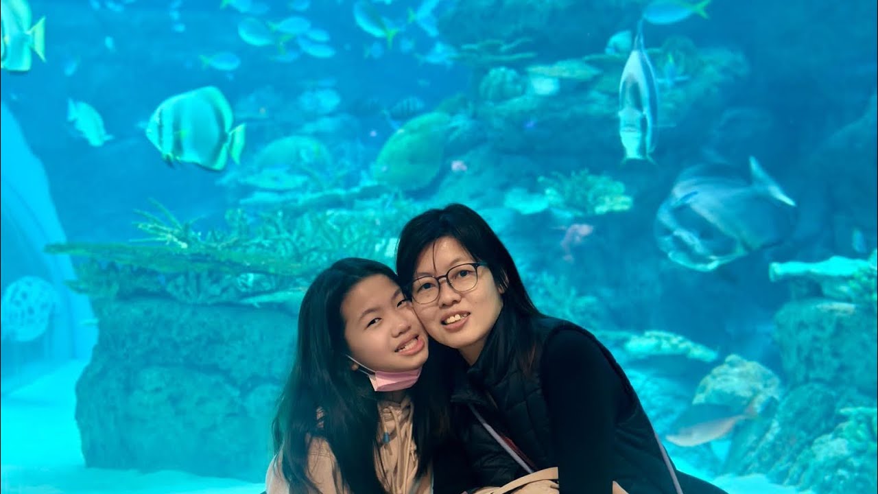 🇯🇵日本聖誕🎄自駕遊🚗Day7（名古屋水族館，高山市）