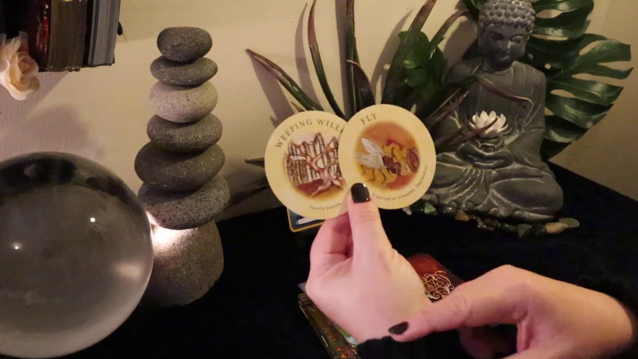 Capricorn...Someone Slips Up & Gets Caught...Capricorn February Tarot Reading