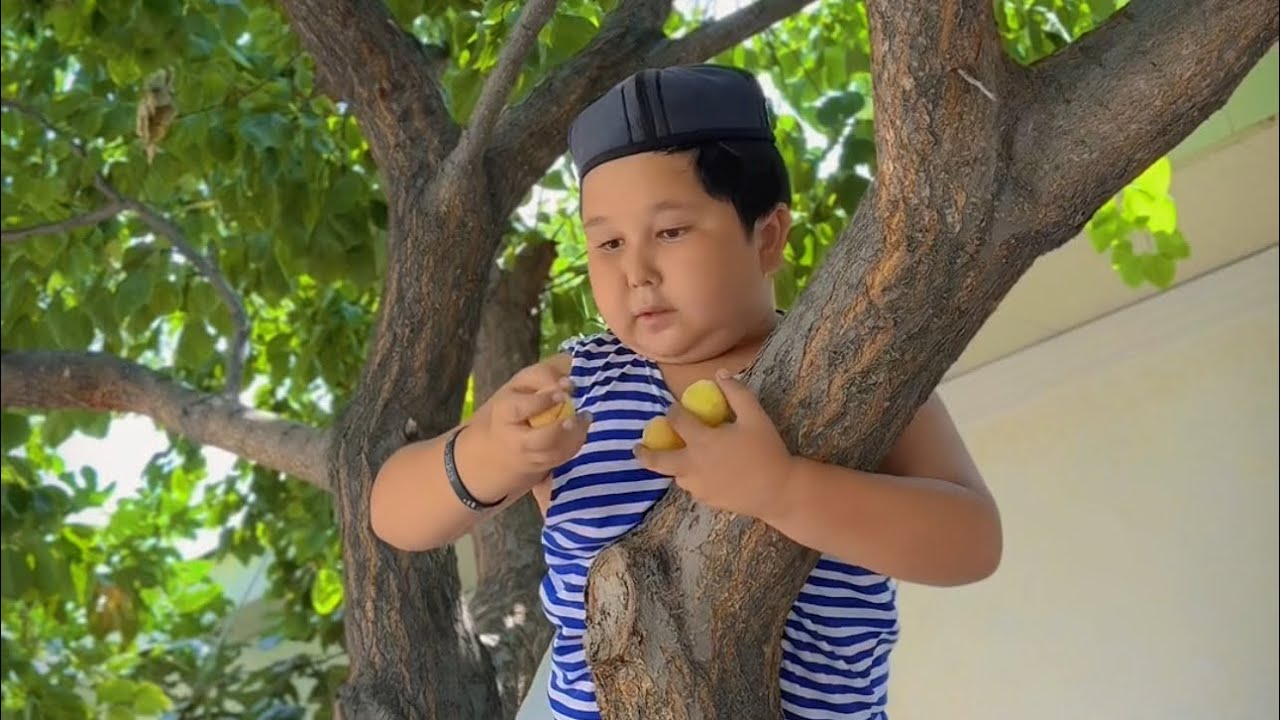 Aka-uka  (Shumbola yana shumli qildi🤣)