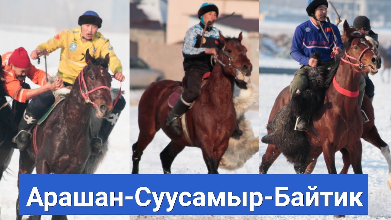 Орто-Сайда орт улак болду/ Сейитбек менен Рустам ташыды