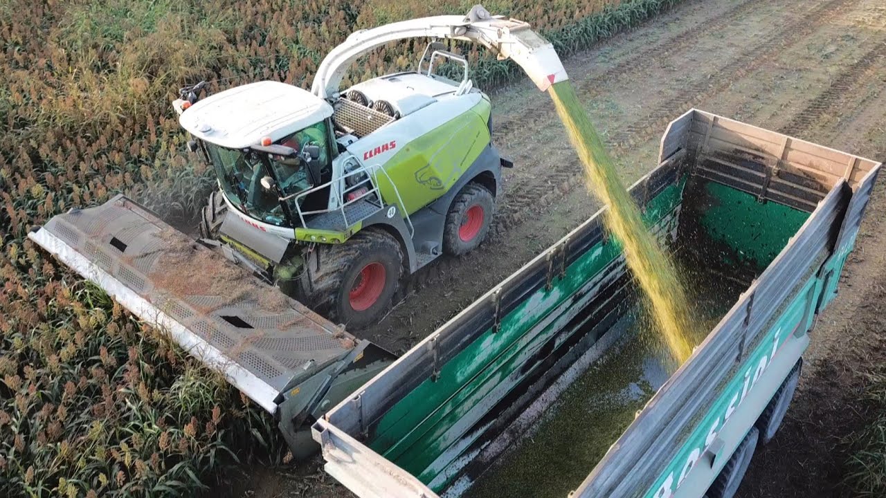 Claas Jaguar 980 | Arion 460 - 630 | Axion 830 | Trinciato sorgo 2022
